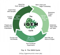 iGEM竞赛名词听不懂怎么办?备考iGEM免费资料下载！