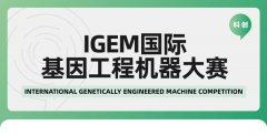 高中生参加iGEM竞赛吗？获奖率如何？iGEM竞赛高中组含金量介绍