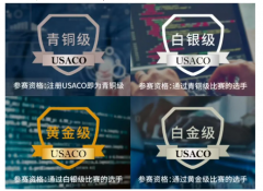 USACO竞赛难度怎么样？各等级难度分析