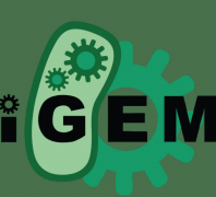 iGEM奖项设置是怎样的？iGEM比赛金牌有价值吗？