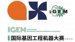 备考2025年iGEM国际基因工程机器大赛，iGEM竞赛需要参加辅导吗？