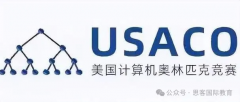 USACO竞赛一文全介绍：报名流程/参赛规则/4个级别难度/辅导优势