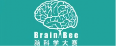 2025年Brainbee脑科学大赛报名！brainbee竞赛题目及考试大纲是什么？