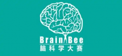 BrainBee脑科学大赛怎么报名？中学生参加BrainBee含金量高吗